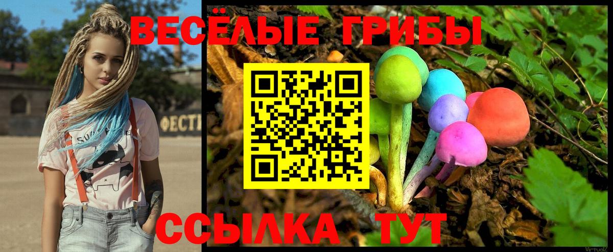 Галлюциногенные грибы Magic Shrooms  Вход с VPN  Острогожск 